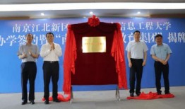 博科集团爆料最新消息新闻,最新消息震撼来袭！