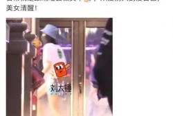 刘大锤最新爆料宋茜是谁,宋茜身份之谜